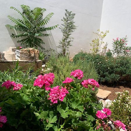 Le Cummerse In Centro Alberobello Ngoại thất bức ảnh