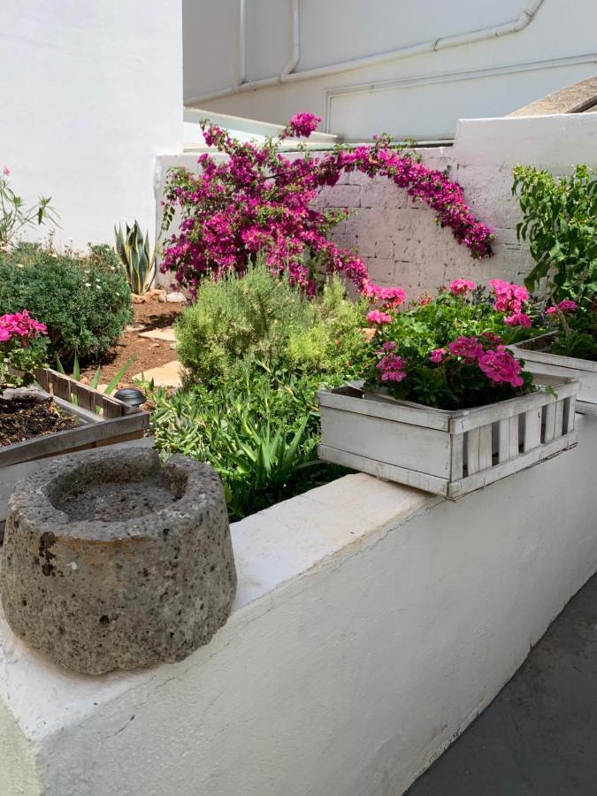 Le Cummerse In Centro Alberobello Ngoại thất bức ảnh
