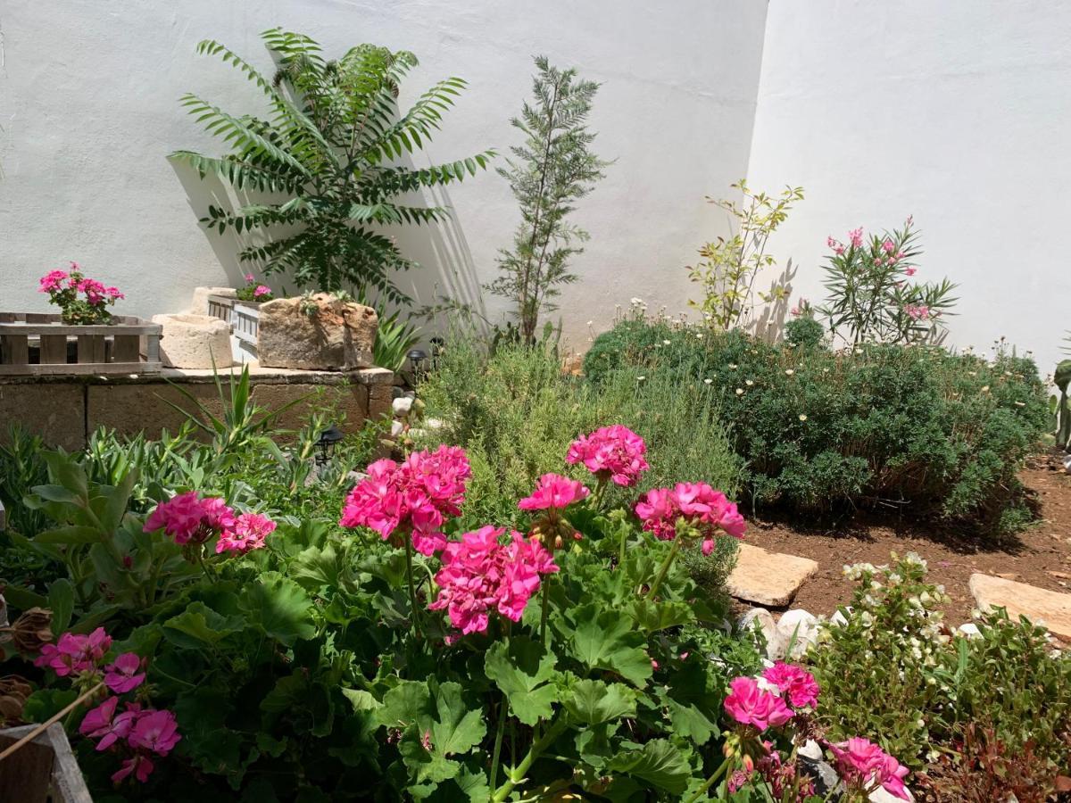 Le Cummerse In Centro Alberobello Ngoại thất bức ảnh